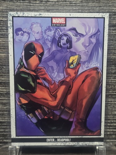 2025 panini marvel anthology - panini,